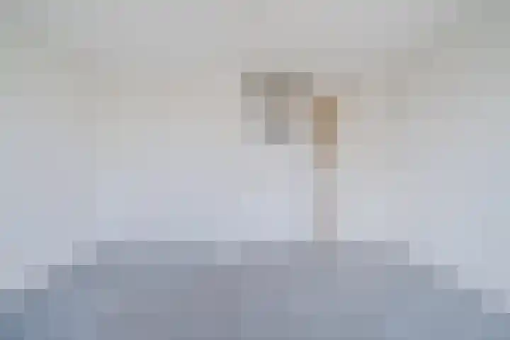 Hobbemalaan 12 Alkmaar thumbnail 21