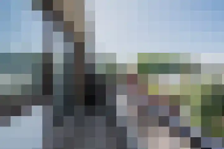 Hobbemalaan 12 Alkmaar thumbnail 26