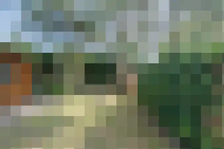 Hobbemalaan 12 Alkmaar thumbnail 4