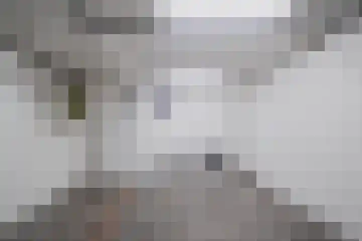 Hobbemalaan 12 Alkmaar thumbnail 8