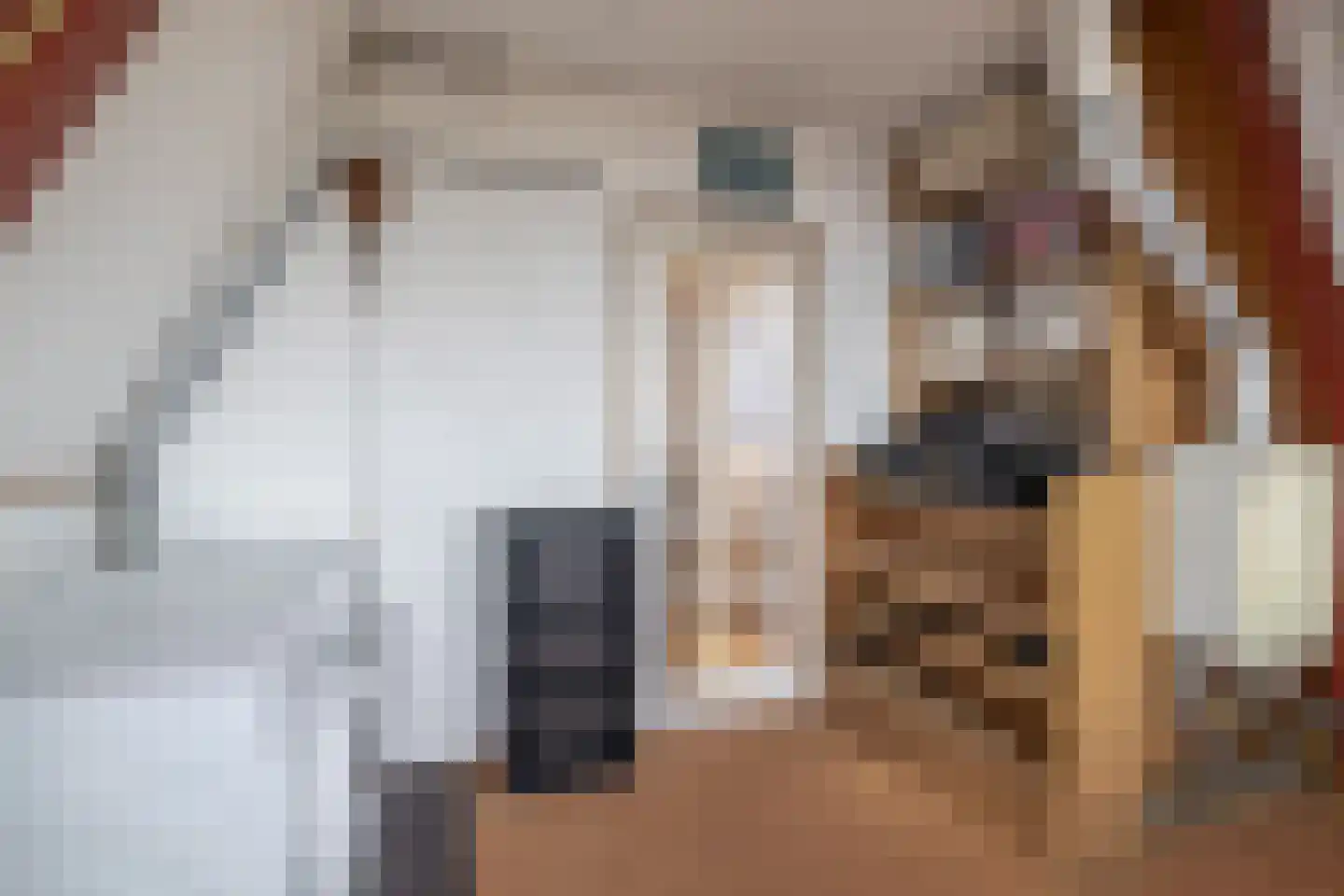 Hobbemalaan 13 Krimpen aan den IJssel thumbnail 27