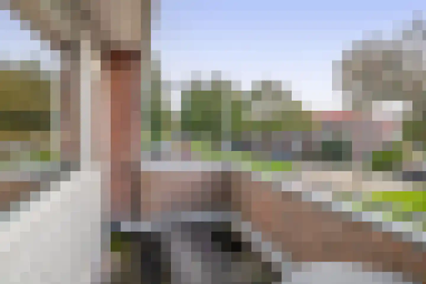 Hobbemalaan 13 Krimpen aan den IJssel thumbnail 29