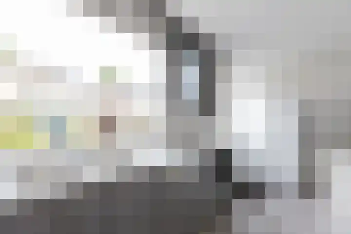 Hobbemalaan 19 Alblasserdam thumbnail 12