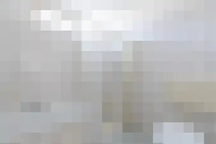 Hobbemalaan 19 Alblasserdam thumbnail 17