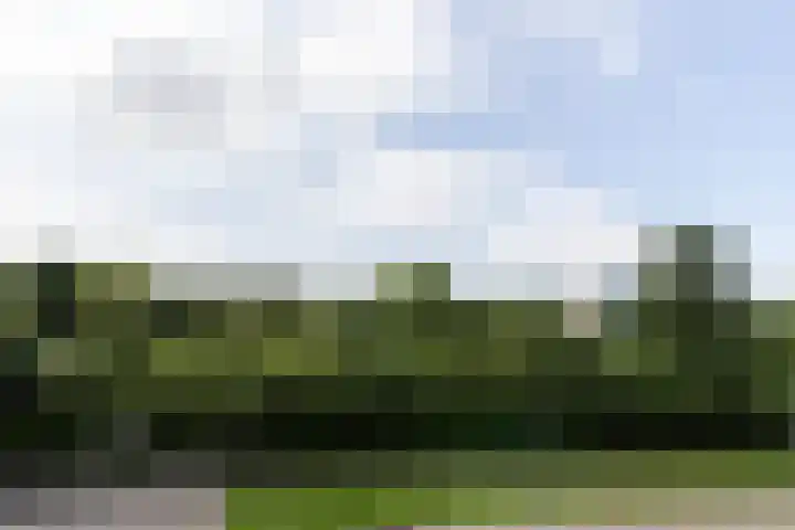 Hobbemalaan 19 Alblasserdam thumbnail 20