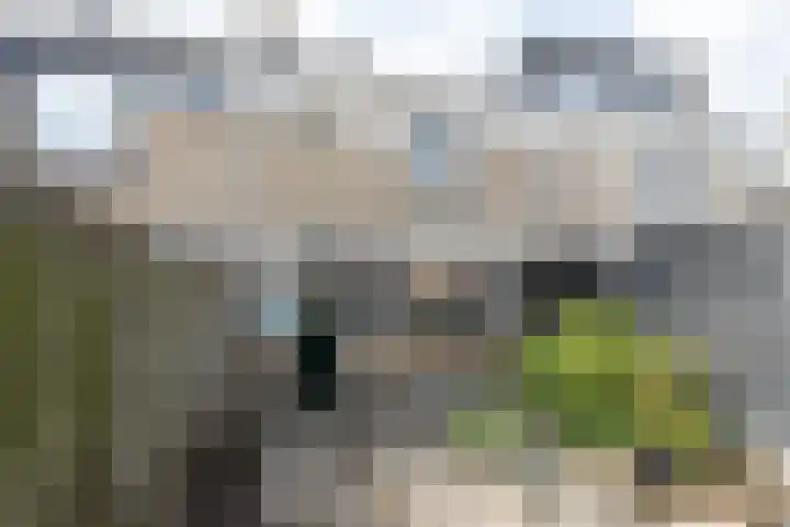 Hobbemalaan 19 Alblasserdam thumbnail 23