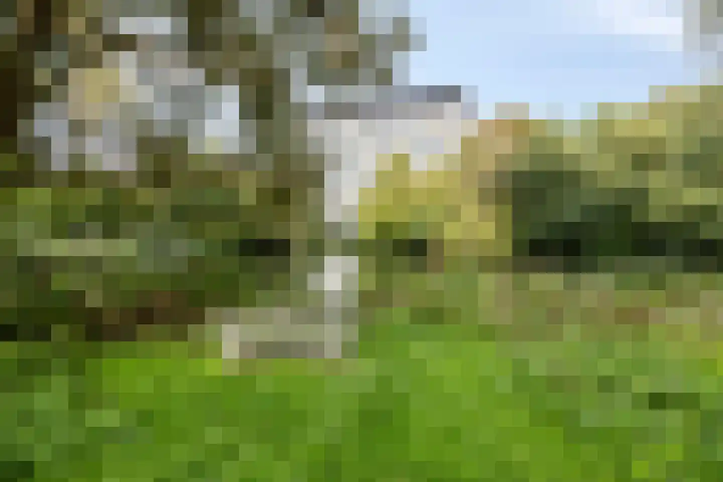 Hobbemalaan 198 Alkmaar thumbnail 40