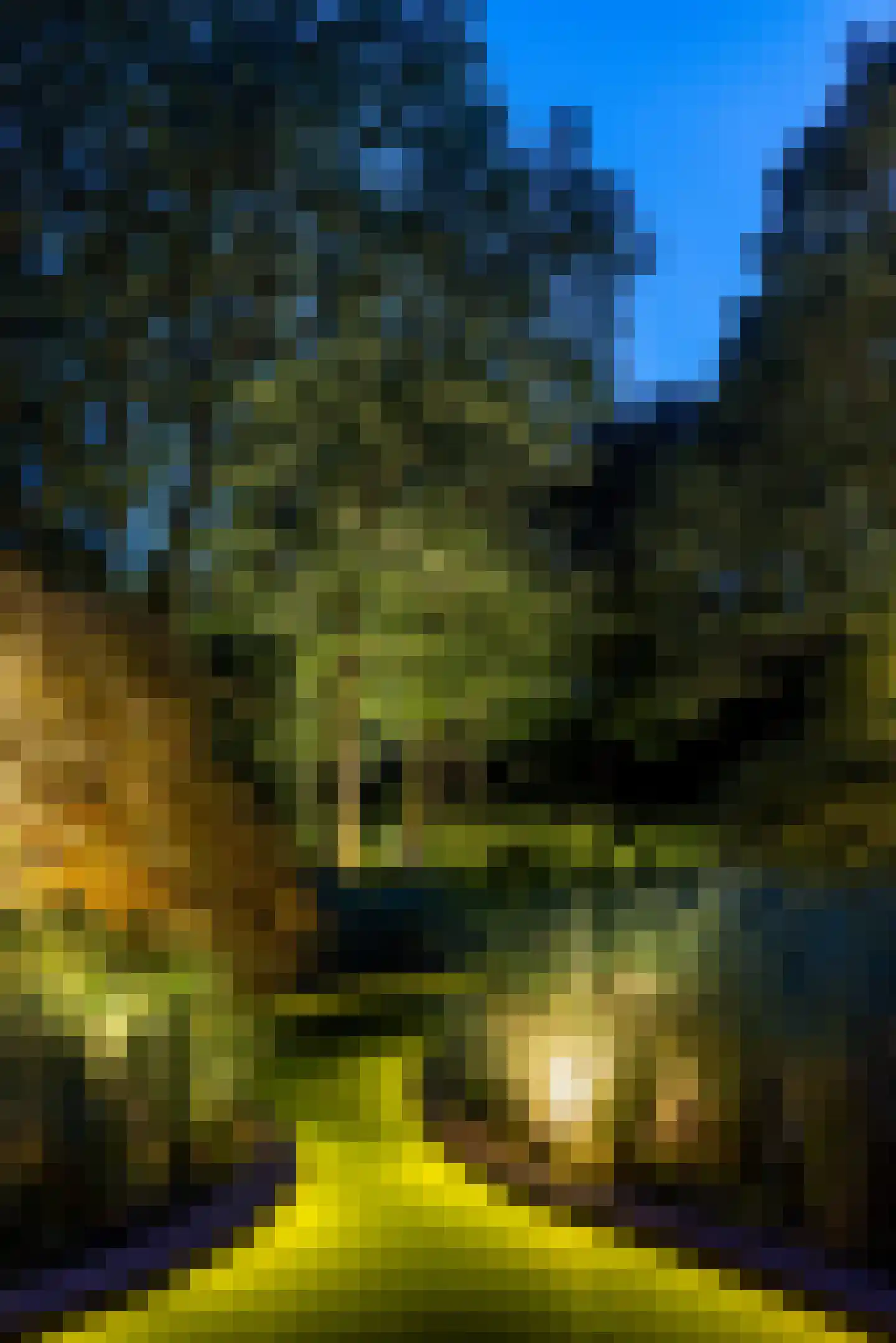Hobbemalaan 20 Huis ter Heide thumbnail 28