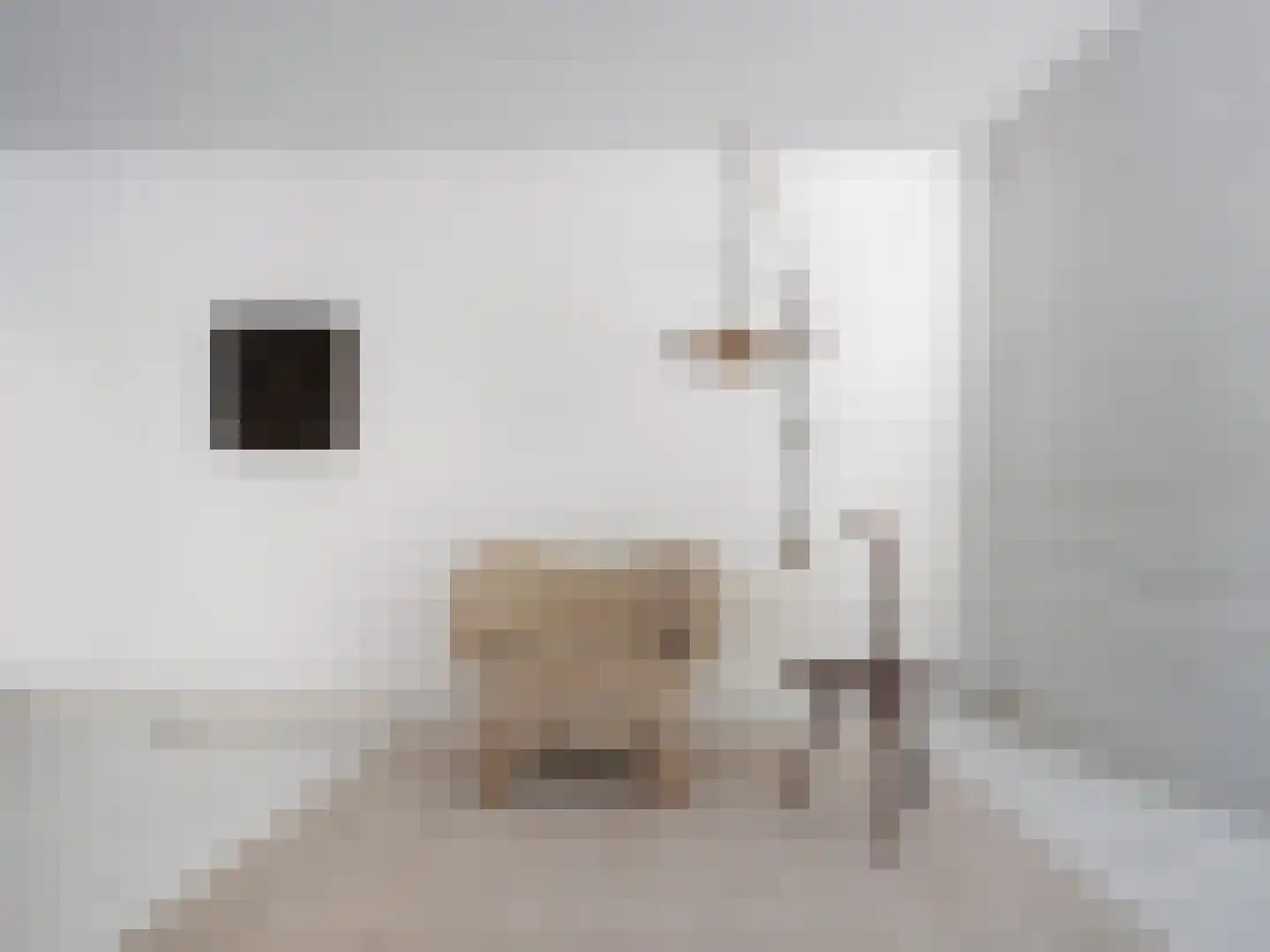 Hobbemalaan 20 Huis ter Heide thumbnail 6