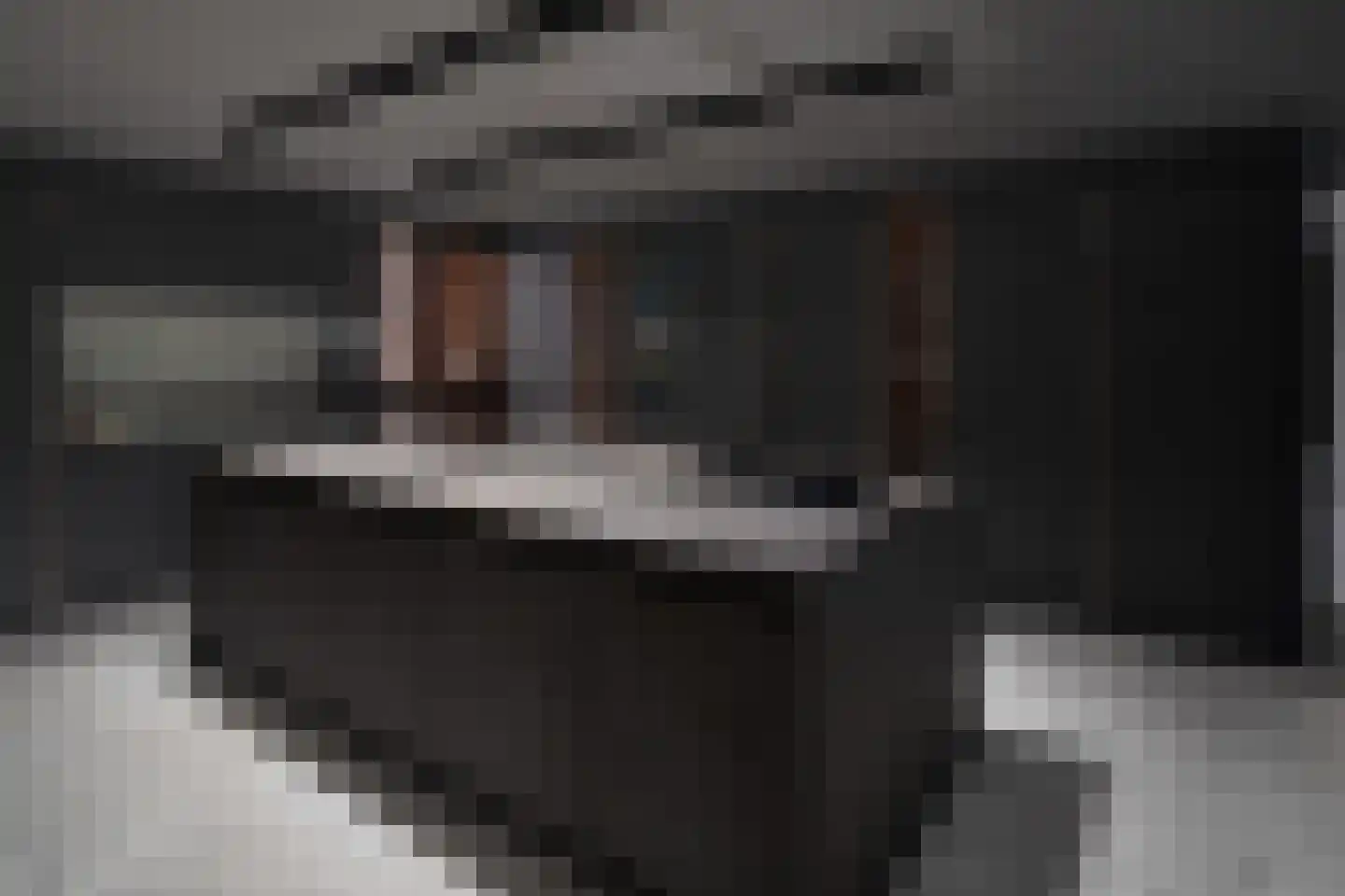 Hobbemalaan 20 Huis ter Heide thumbnail 8