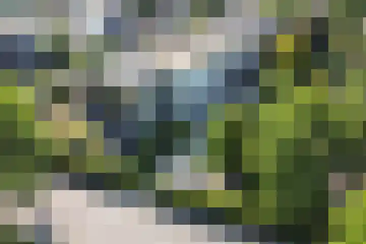 Hobbemalaan 22 in Alkmaar