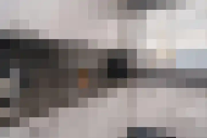 Hobbemalaan 23 Alblasserdam thumbnail 10