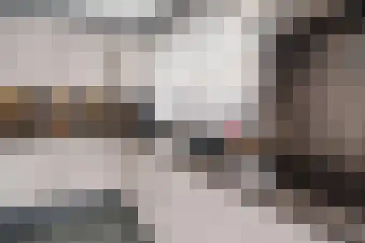Hobbemalaan 23 Alblasserdam thumbnail 11