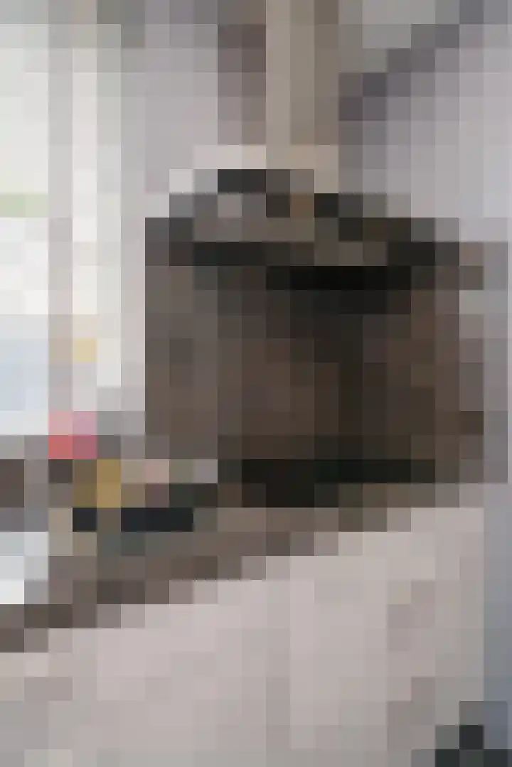 Hobbemalaan 23 Alblasserdam thumbnail 12