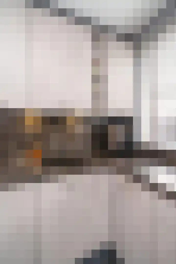 Hobbemalaan 23 Alblasserdam thumbnail 13