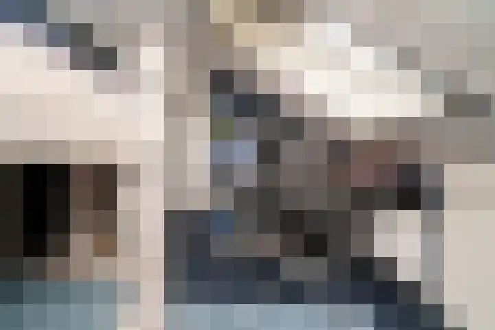 Hobbemalaan 23 Alblasserdam thumbnail 31