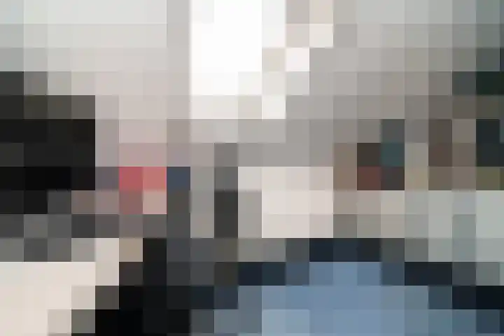 Hobbemalaan 23 Alblasserdam thumbnail 32