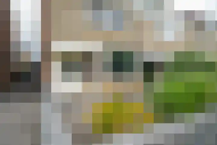 Hobbemalaan 23 Alblasserdam thumbnail 39