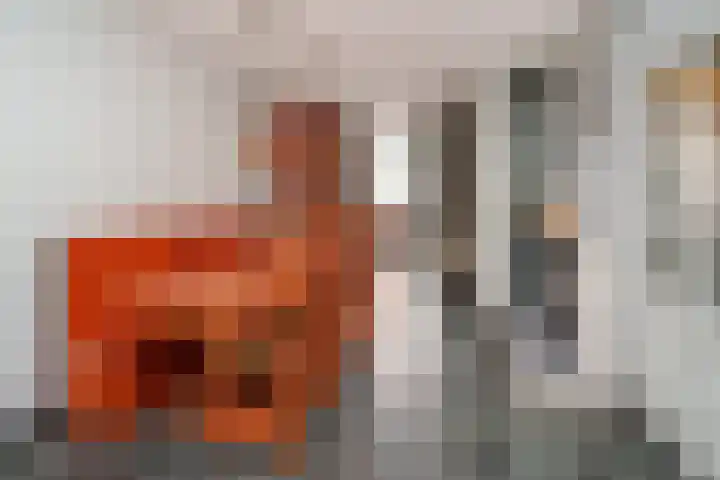 Hobbemalaan 23 Alblasserdam thumbnail 8