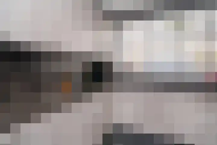 Hobbemalaan 23 Alblasserdam thumbnail 9