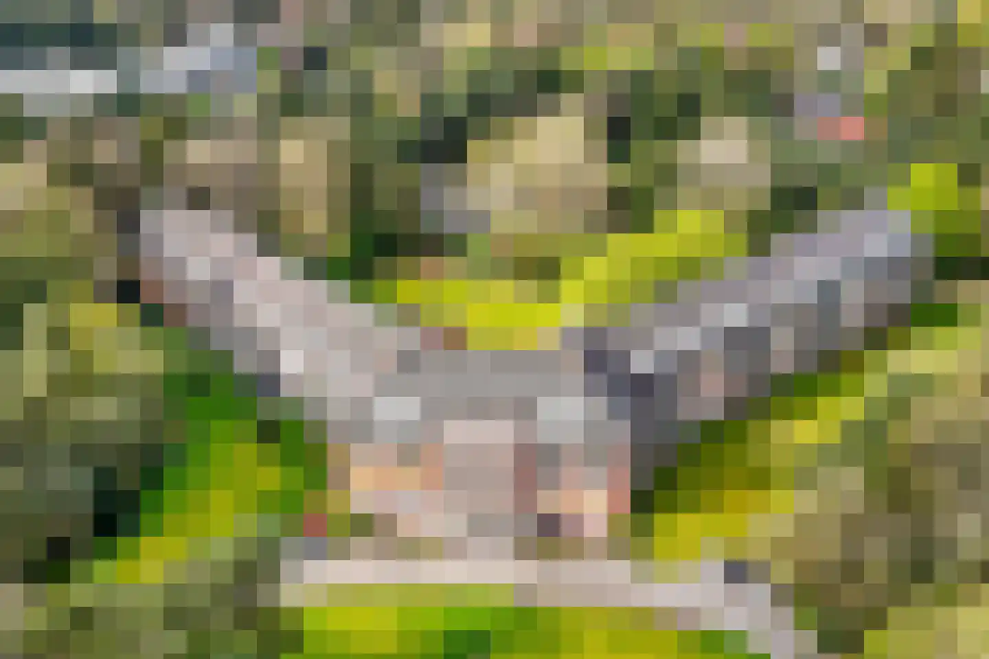 Hobbemalaan 24 B 30 Bilthoven thumbnail 37