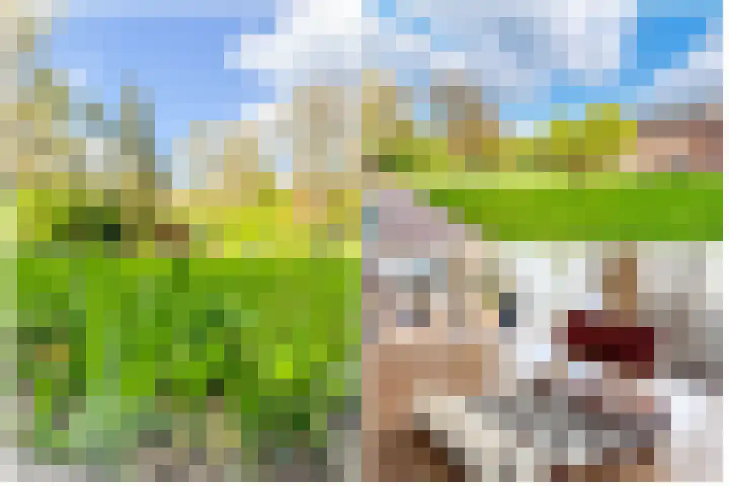 Hobbemalaan 24 B 30 Bilthoven thumbnail 38