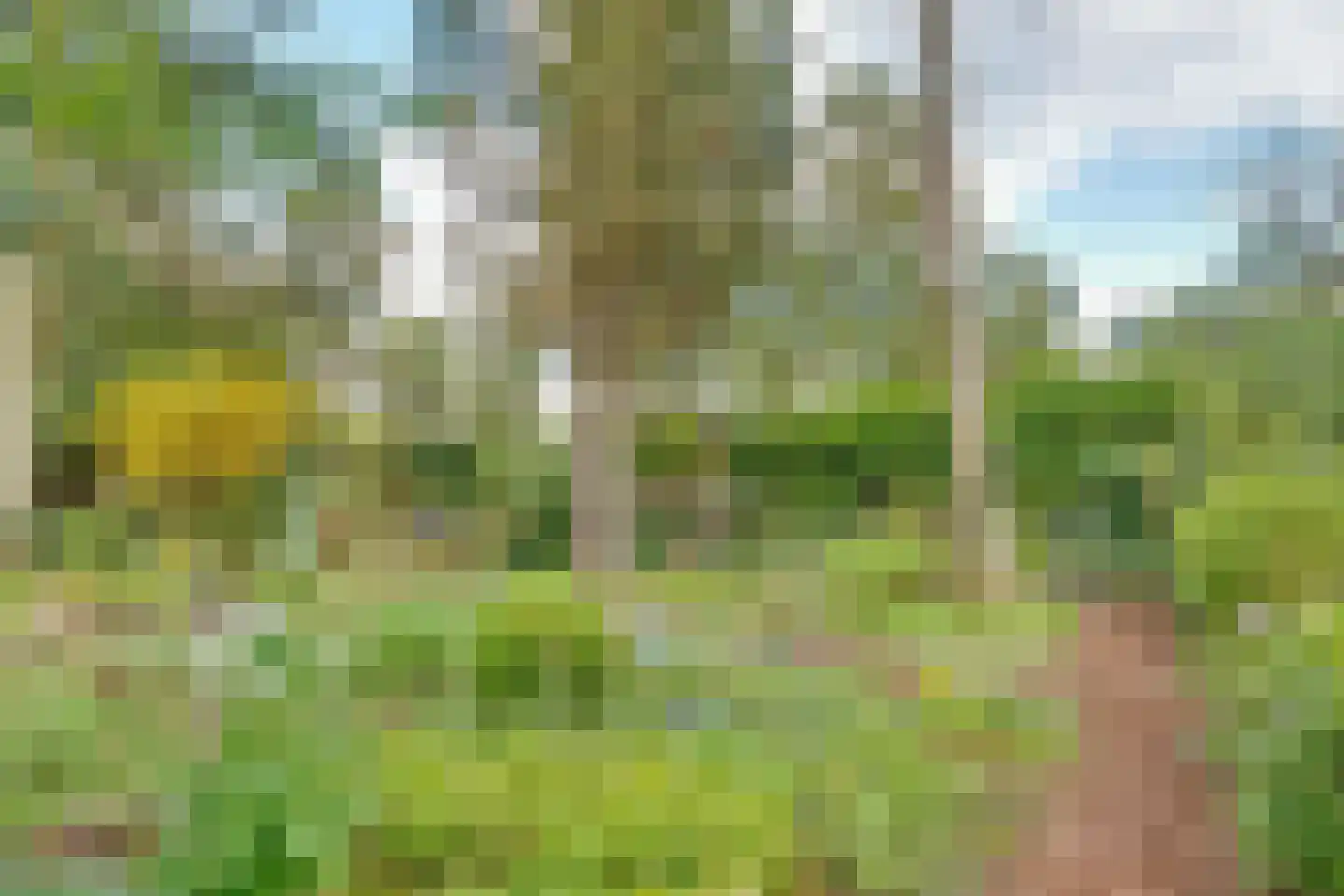 Hobbemalaan 24 B 30 Bilthoven thumbnail 43