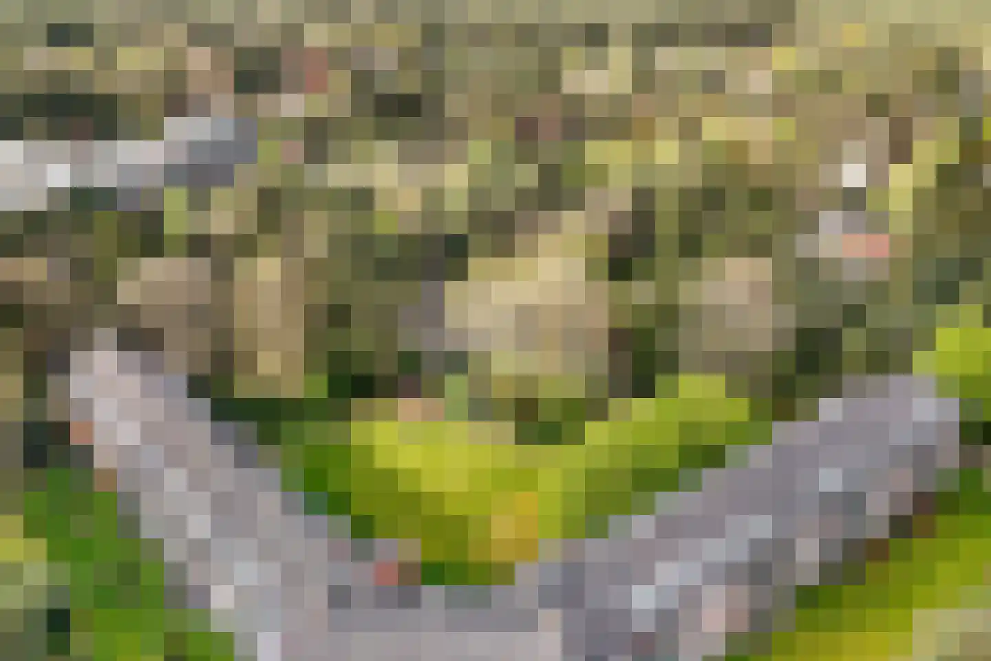 Hobbemalaan 24 B 30 Bilthoven thumbnail 43