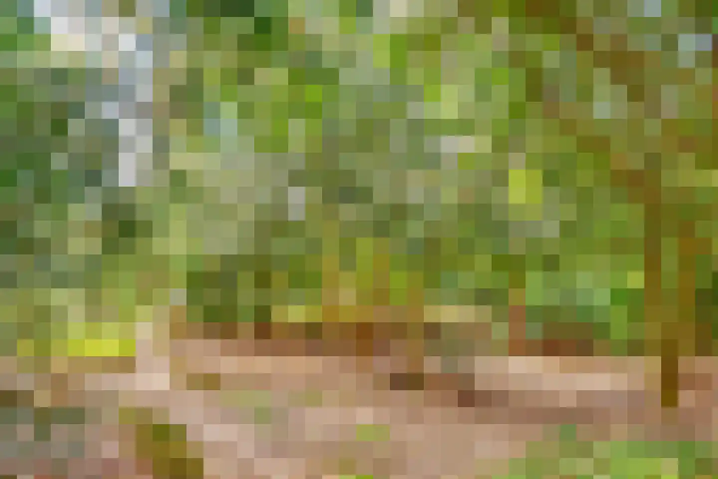 Hobbemalaan 24 B 30 Bilthoven thumbnail 45