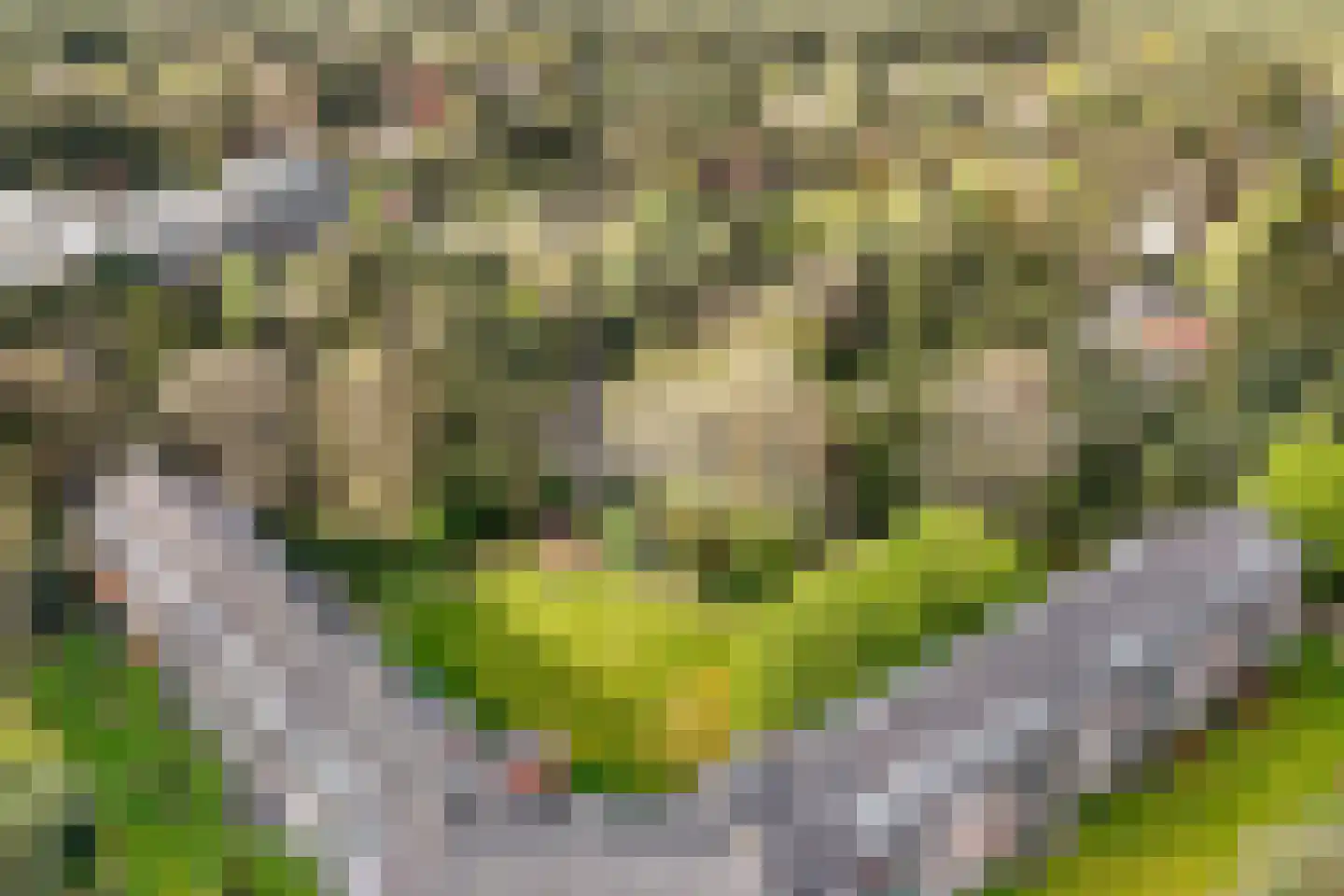 Hobbemalaan 24 B 30 Bilthoven thumbnail 46