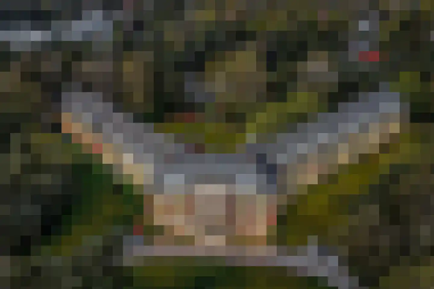 Hobbemalaan 24 B 30 Bilthoven thumbnail 50