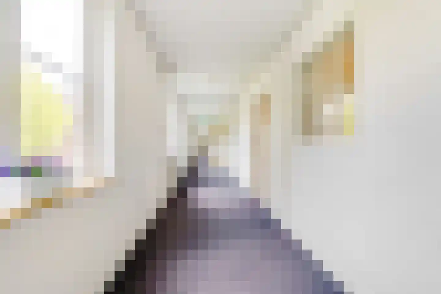 Hobbemalaan 24 B 30 Bilthoven thumbnail 6