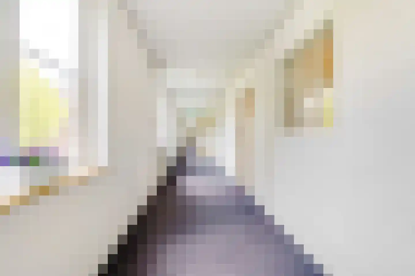 Hobbemalaan 24 B 30 Bilthoven thumbnail 6