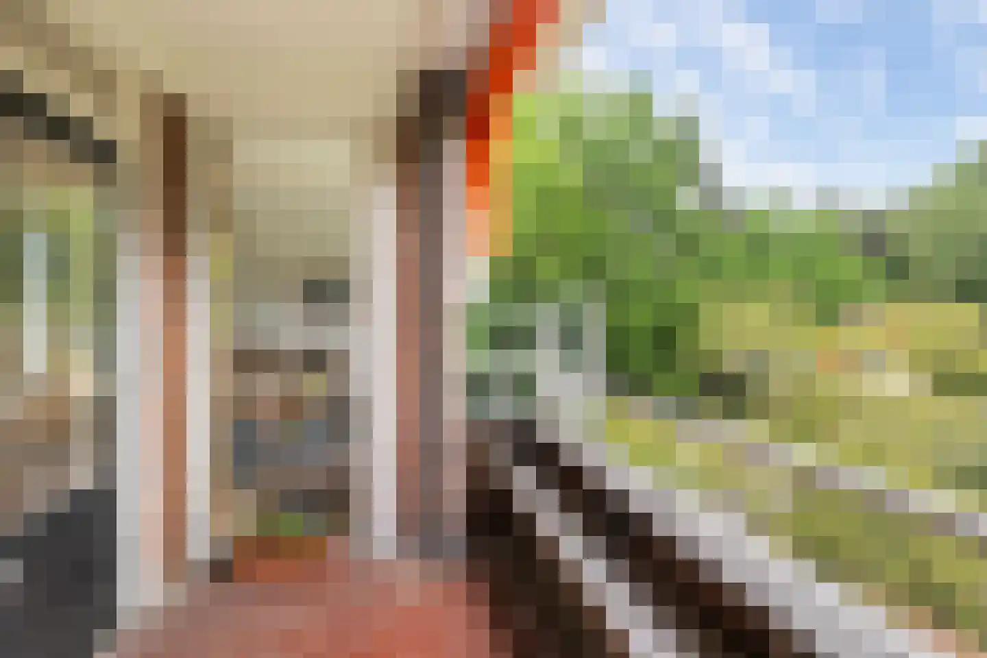 Hobbemalaan 24 C 18 Bilthoven thumbnail 18