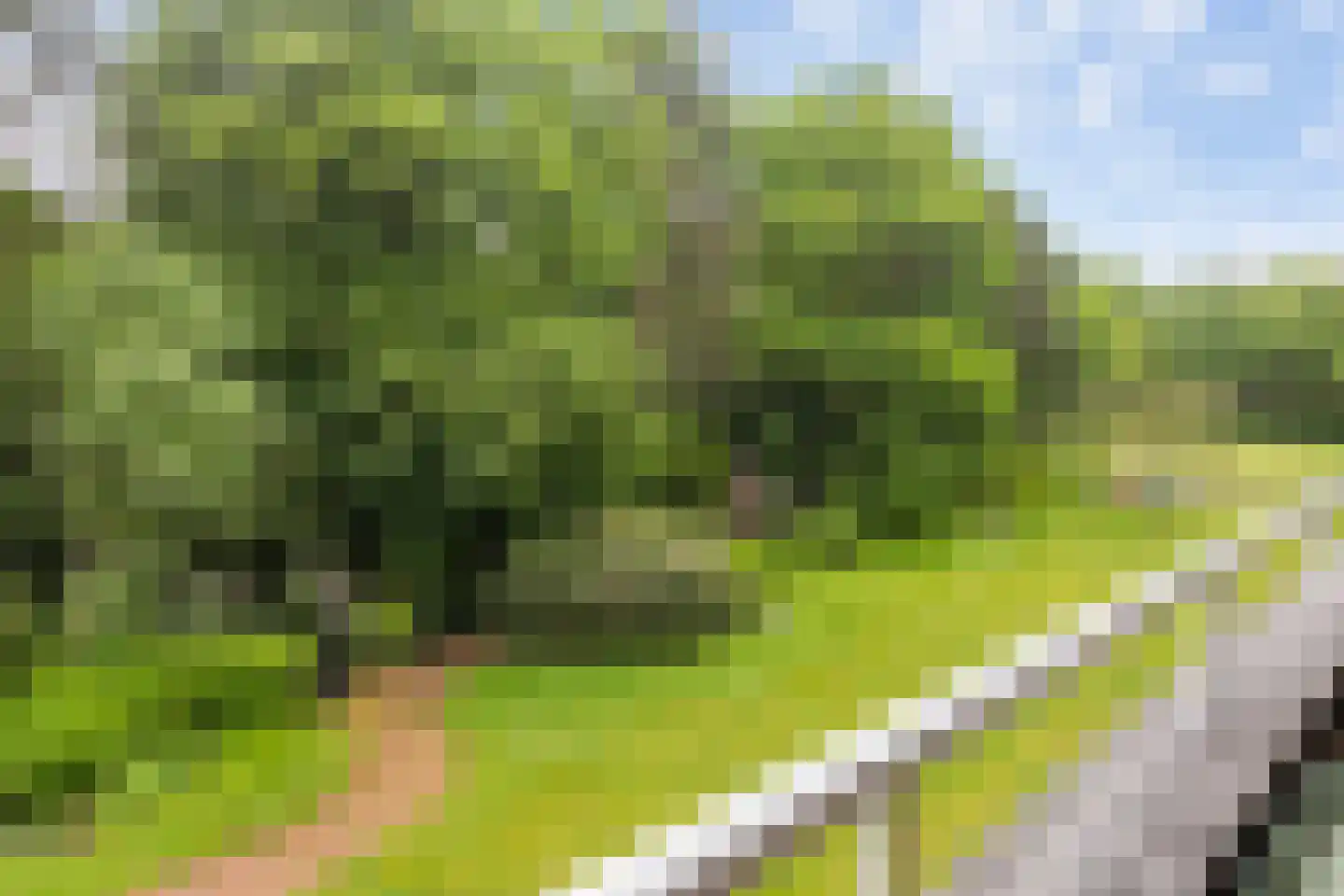 Hobbemalaan 24 C 18 Bilthoven thumbnail 19