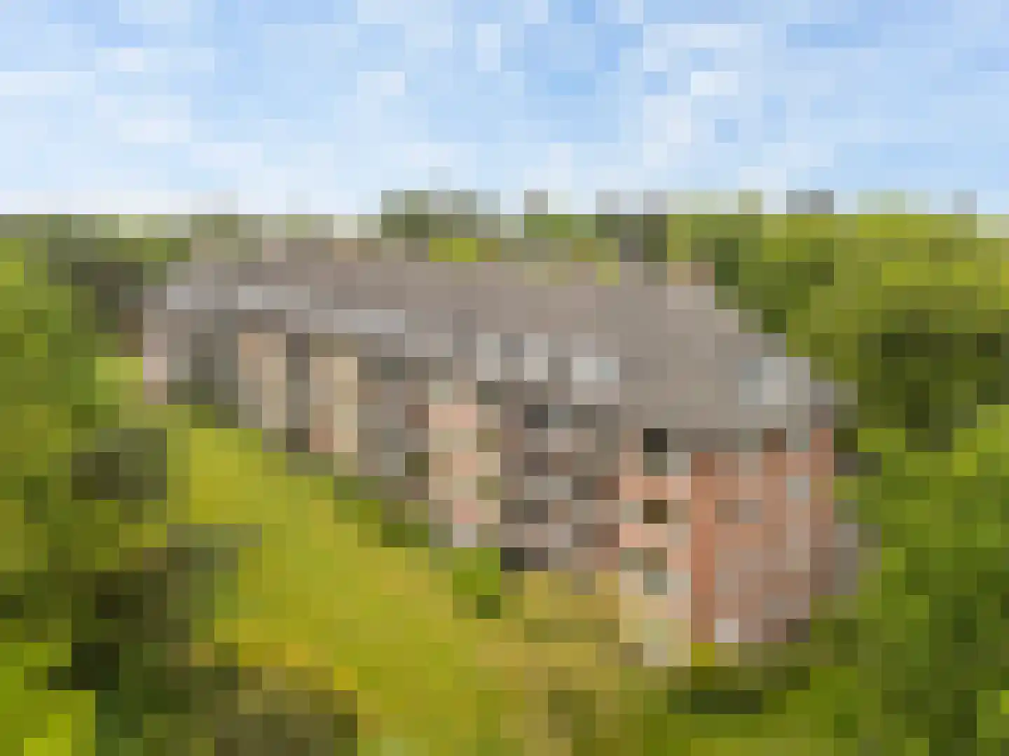 Hobbemalaan 24 C 18 Bilthoven thumbnail 27
