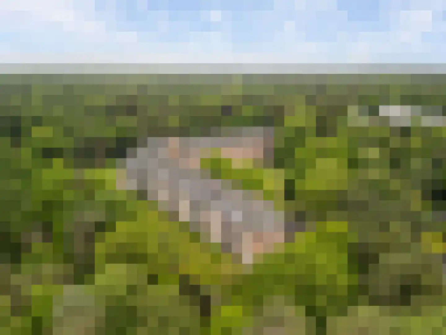Hobbemalaan 24 C 18 Bilthoven thumbnail 29