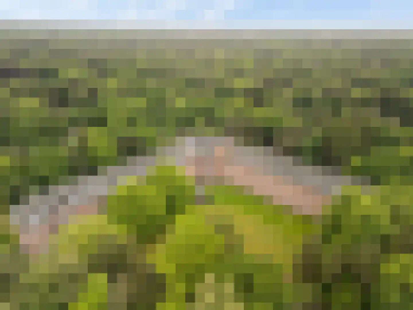 Hobbemalaan 24 C 18 Bilthoven thumbnail 30