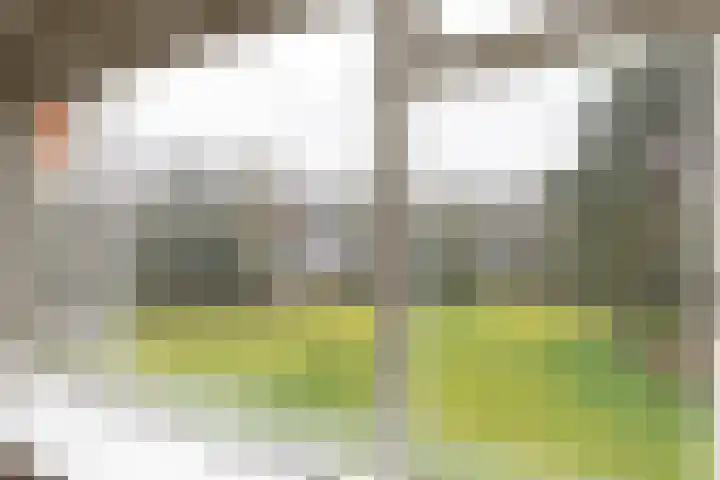 Hobbemalaan 24 C 20 Bilthoven thumbnail 12
