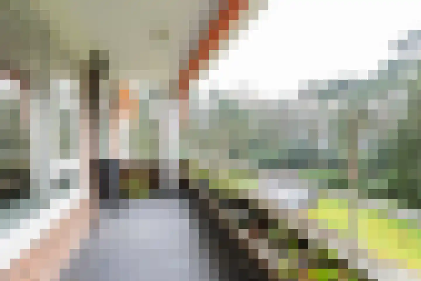 Hobbemalaan 24 C 20 Bilthoven thumbnail 20