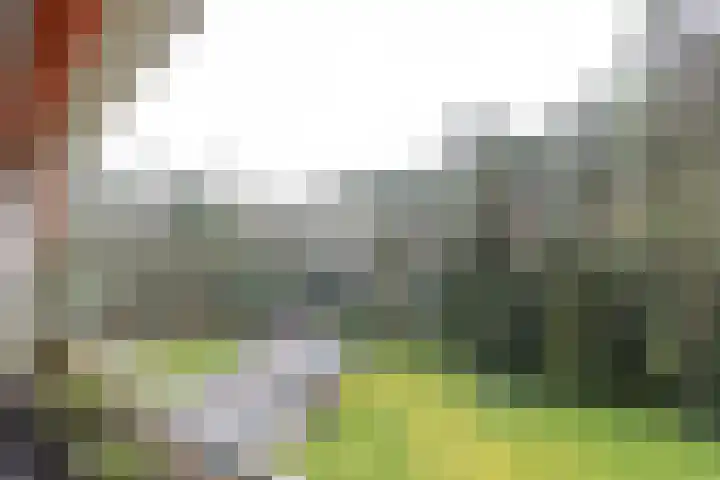 Hobbemalaan 24 C 20 Bilthoven thumbnail 21