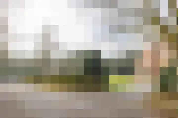 Hobbemalaan 24 C 20 Bilthoven thumbnail 30