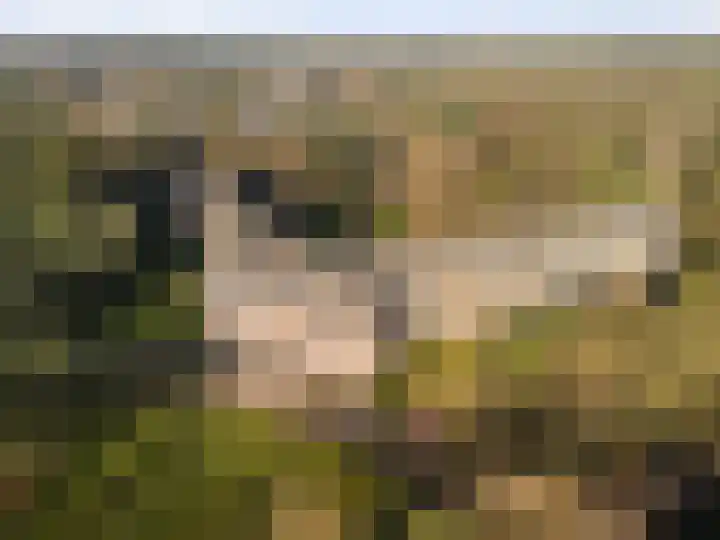 Hobbemalaan 24 E 18 Bilthoven thumbnail 15