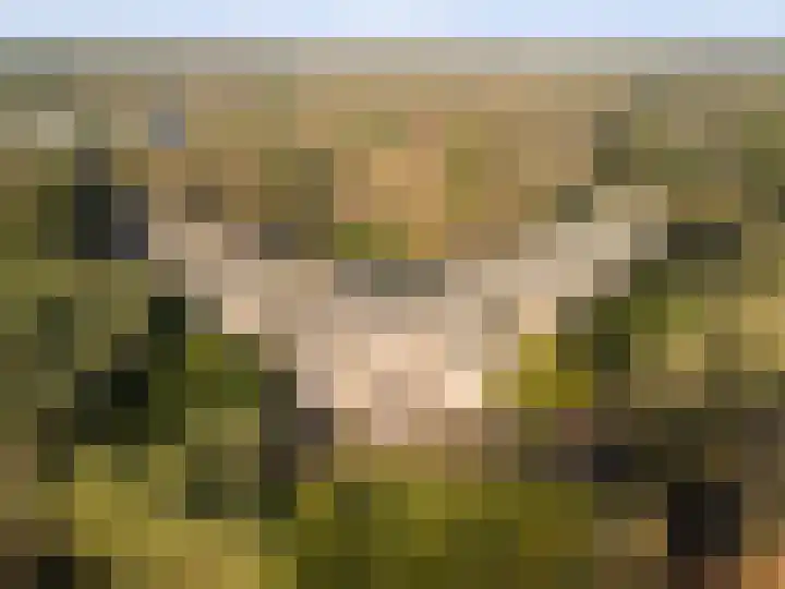 Hobbemalaan 24 E 18 Bilthoven thumbnail 16