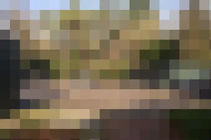 Hobbemalaan 24 E 18 Bilthoven thumbnail 20