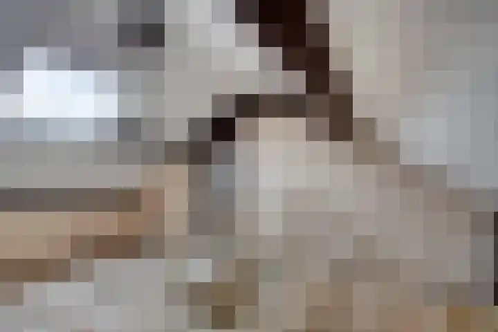 Hobbemalaan 36 Krimpen aan den IJssel thumbnail 15