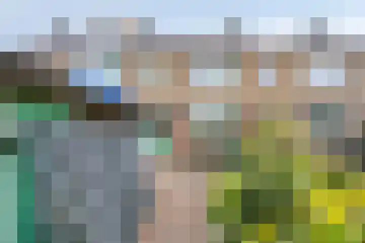 Hobbemalaan 36 Krimpen aan den IJssel thumbnail 17