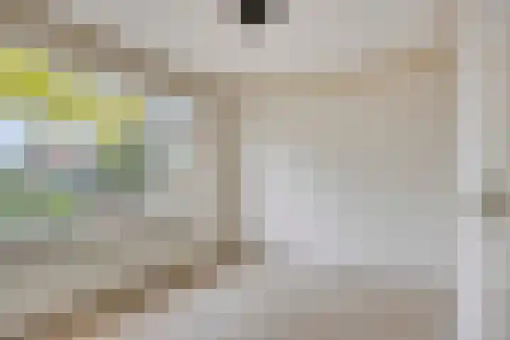 Hobbemalaan 36 Krimpen aan den IJssel thumbnail 8
