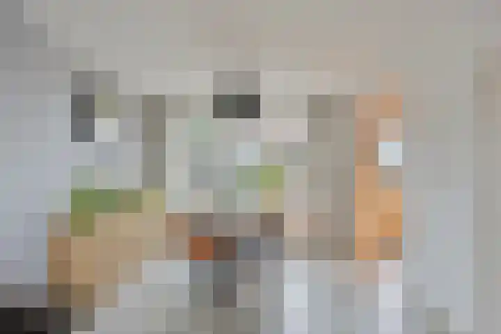 Hobbemalaan 40 Krimpen aan den IJssel thumbnail 14
