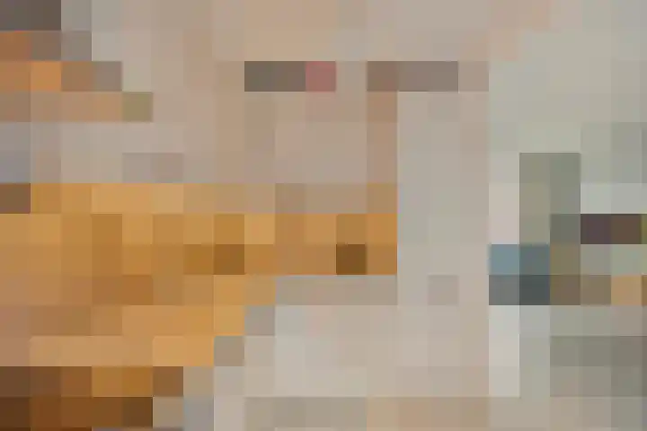 Hobbemalaan 40 Krimpen aan den IJssel thumbnail 17